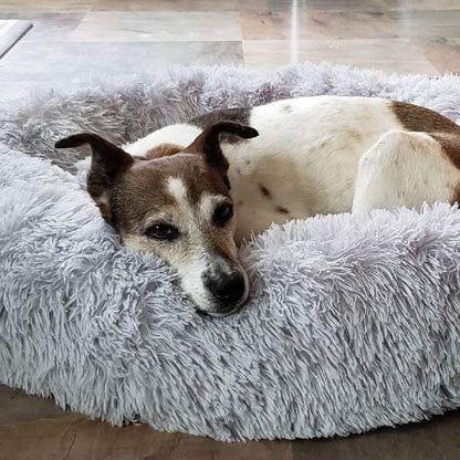 Comfortable Pet Bed & Calming Dog Blanket