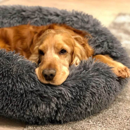 Comfortable Pet Bed & Calming Dog Blanket