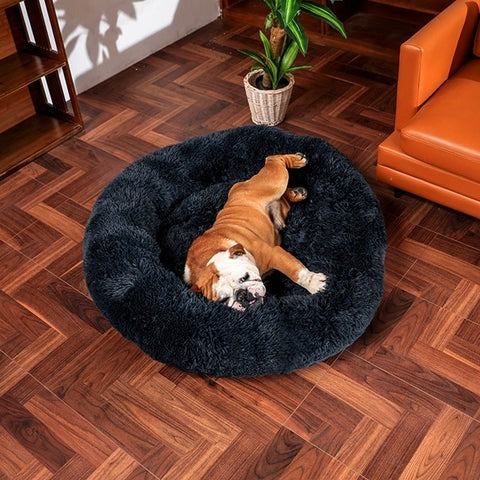 Comfortable Pet Bed & Calming Dog Blanket