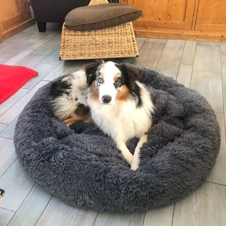 Comfortable Pet Bed & Calming Dog Blanket