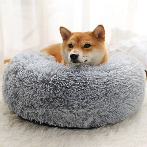 Comfortable Pet Bed & Calming Dog Blanket