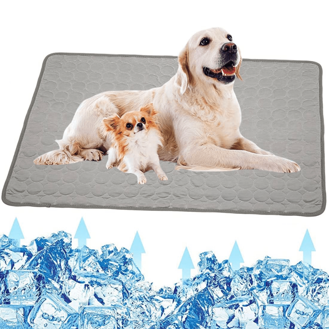 Chill Pet Cooling Pad