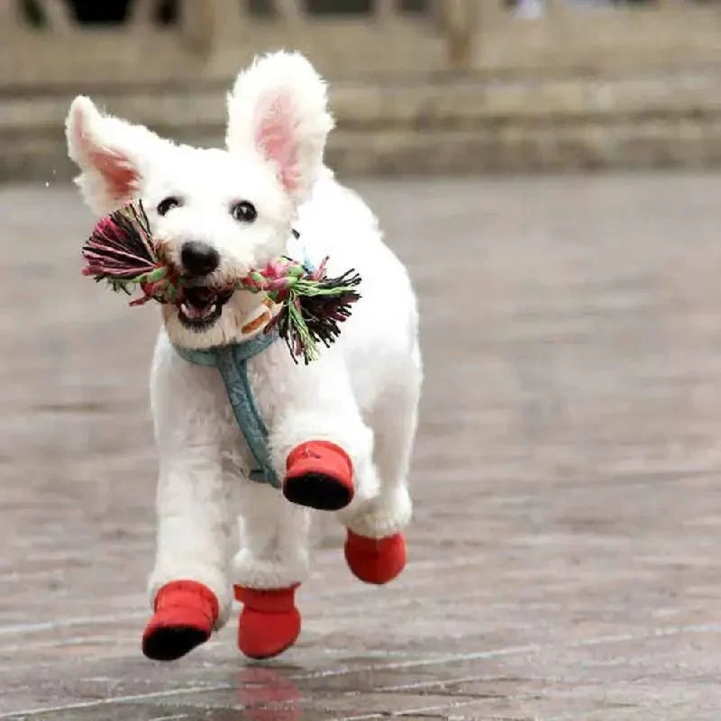 ComfyPaw • Waterproof Dog Shoes