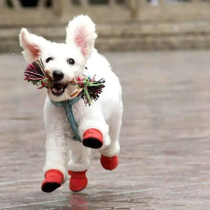 ComfyPaw • Waterproof Dog Shoes