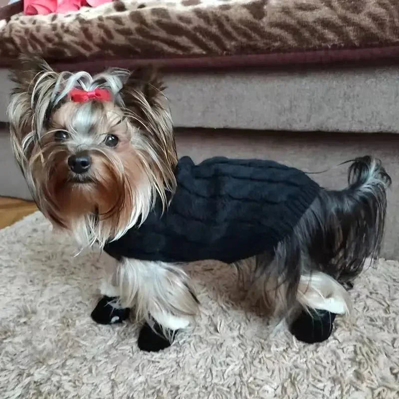 ComfyPaw • Waterproof Dog Shoes