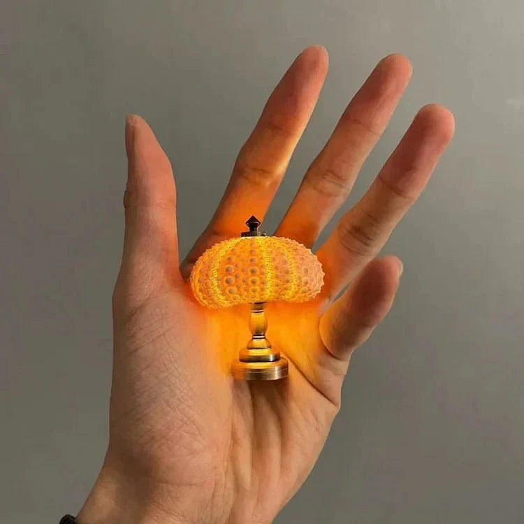 Small Coastal Shell Table Light