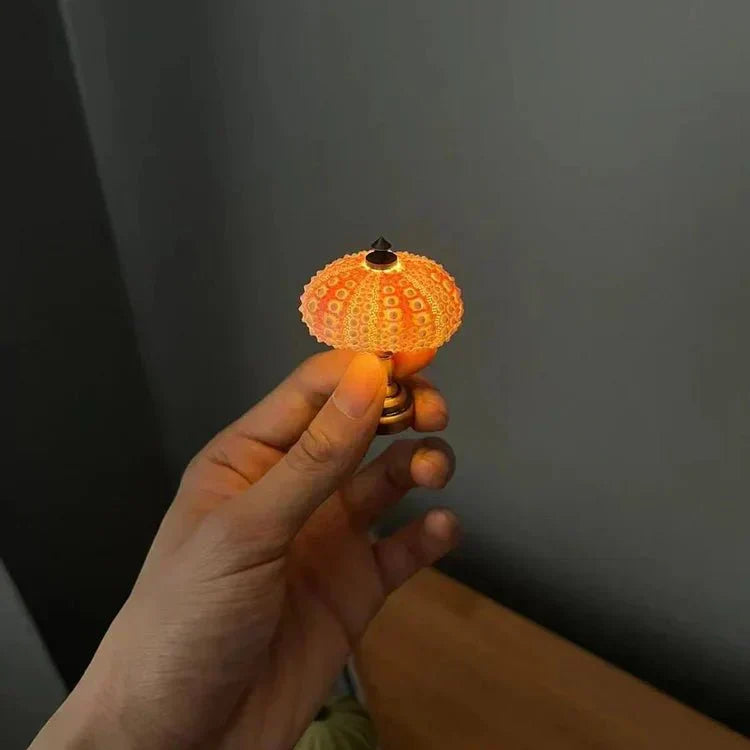 Small Coastal Shell Table Light