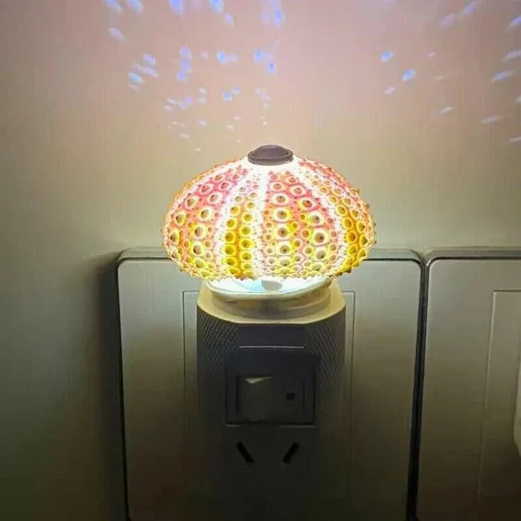 Small Coastal Shell Table Light - Cofik