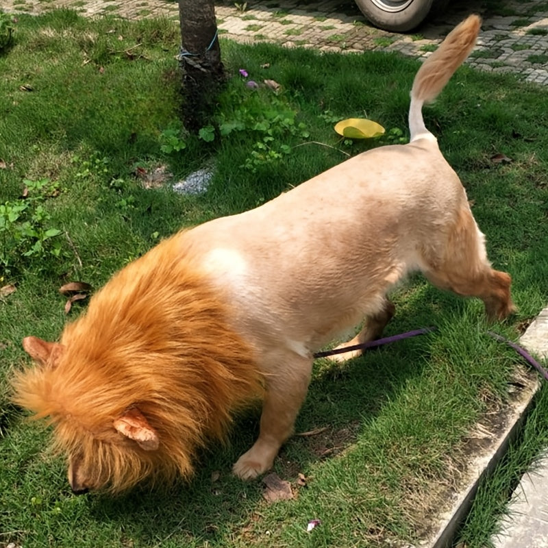 Fun Lion Mane Dog Costume Lightweight Pet Disguise - Cofik