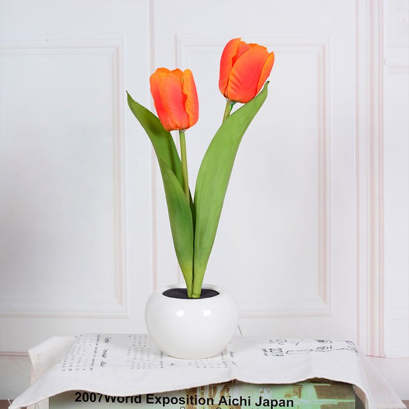 Stylish Tulip Desk LED Lamp