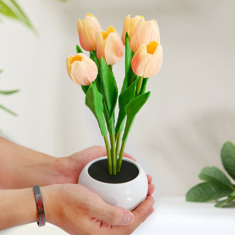 Stylish Tulip Desk LED Lamp