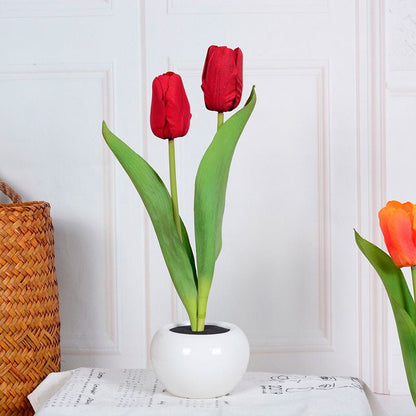 Stylish Tulip Desk LED Lamp