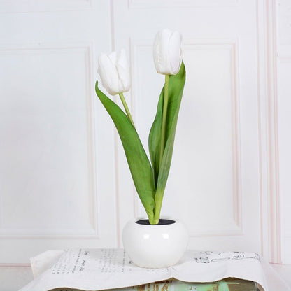 Stylish Tulip Desk LED Lamp - Cofik