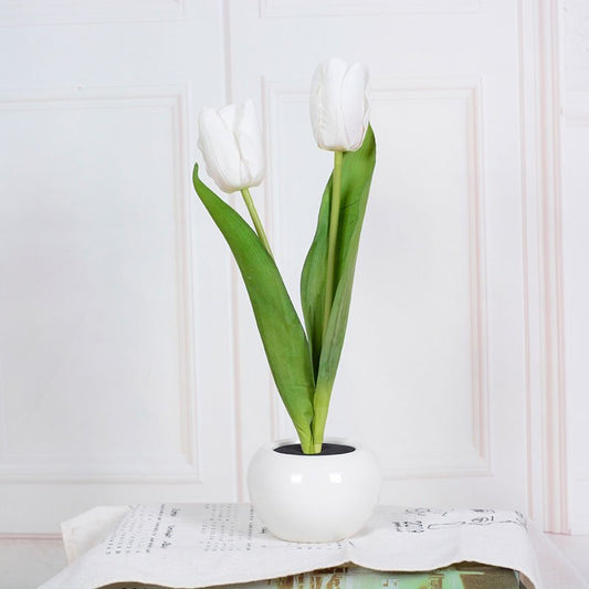 Stylish Tulip Desk LED Lamp - Cofik
