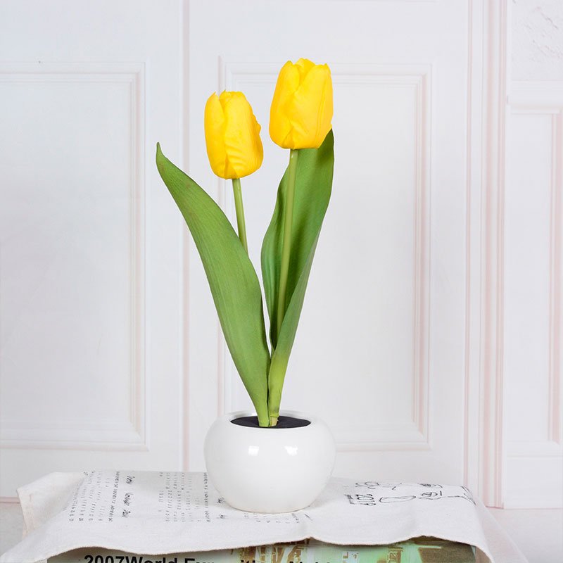 Stylish Tulip Desk LED Lamp