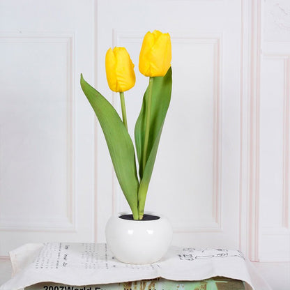 Stylish Tulip Desk LED Lamp