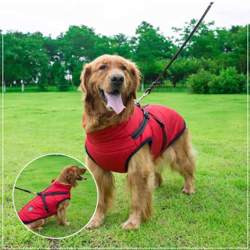 Warm Insulated Dog Coat with Reflective Vest