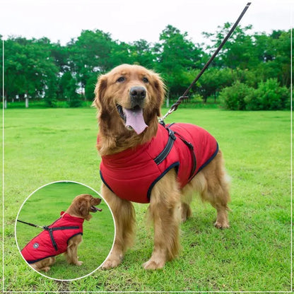 Warm Insulated Dog Coat with Reflective Vest