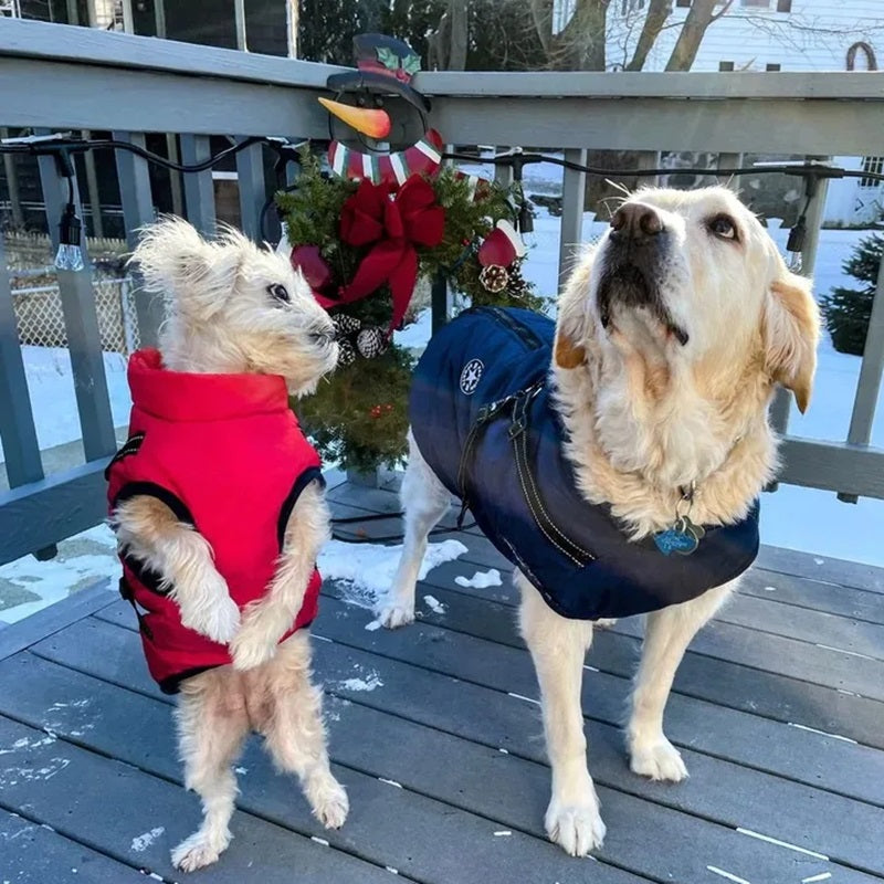 Warm Insulated Dog Coat with Reflective Vest