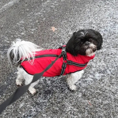 Warm Insulated Dog Coat with Reflective Vest