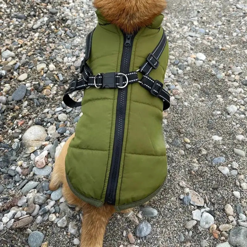 Warm Insulated Dog Coat with Reflective Vest