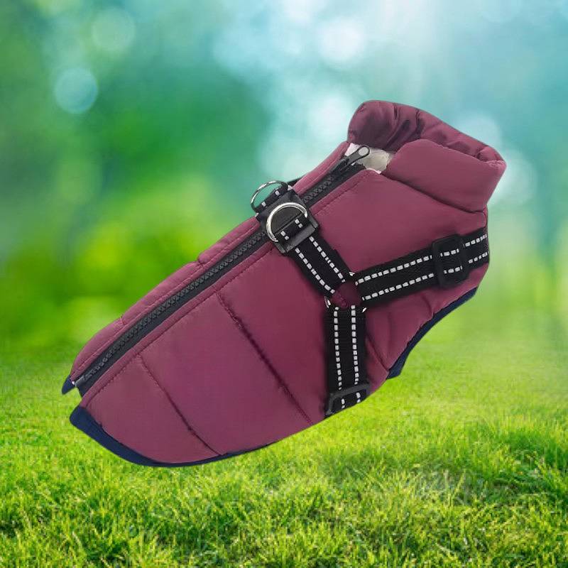 Warm Insulated Dog Coat with Reflective Vest