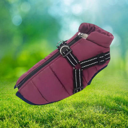 Warm Insulated Dog Coat with Reflective Vest