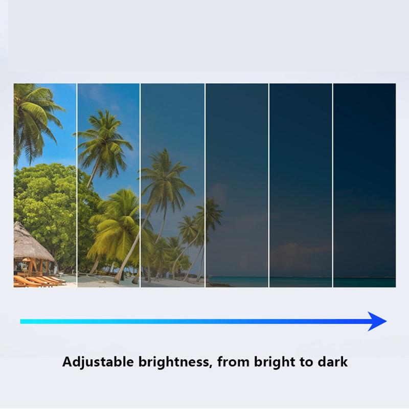 Polarized Shades with Adjustable Lenses