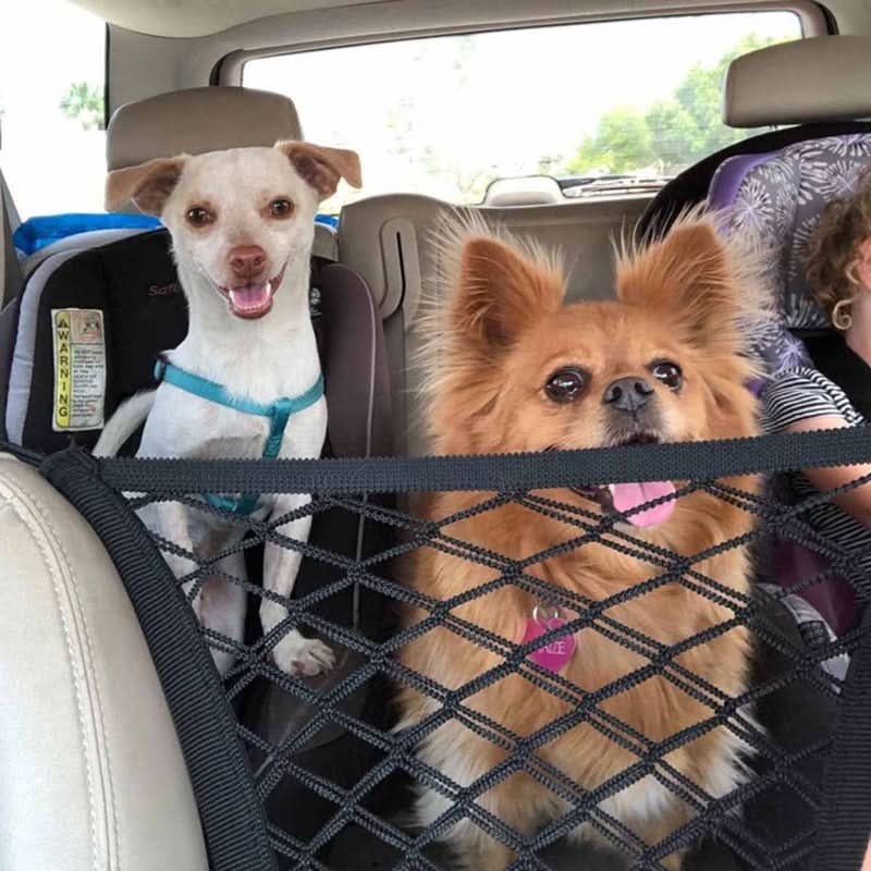 Car Safety Net with Pet Storage Compartment