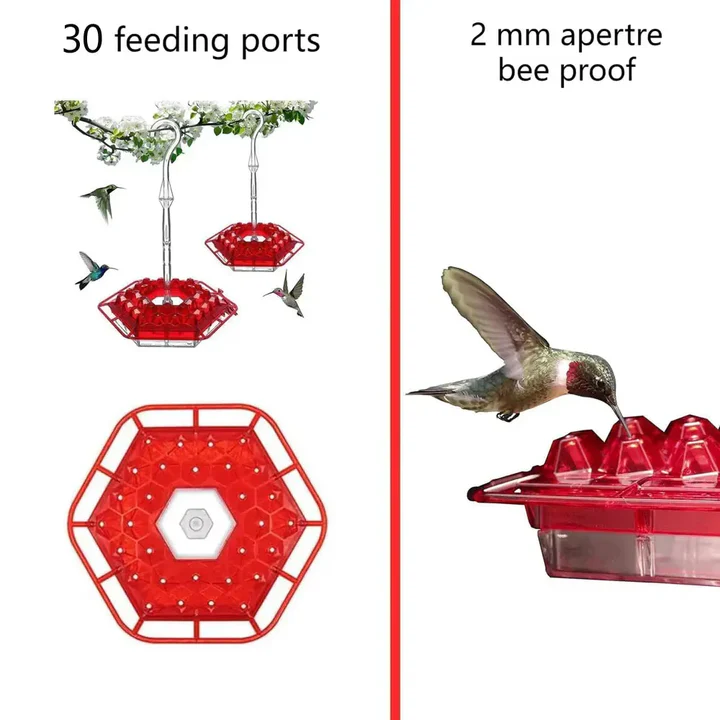 Pest Free Hummingbird Feeder, Hanging Garden Hook