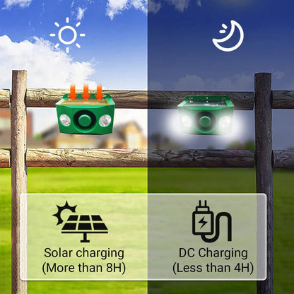 Solar Powered Predator Warning Lights
