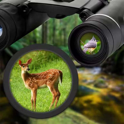 Compact 40x22 HD Binoculars for Birding and Outdoor Use