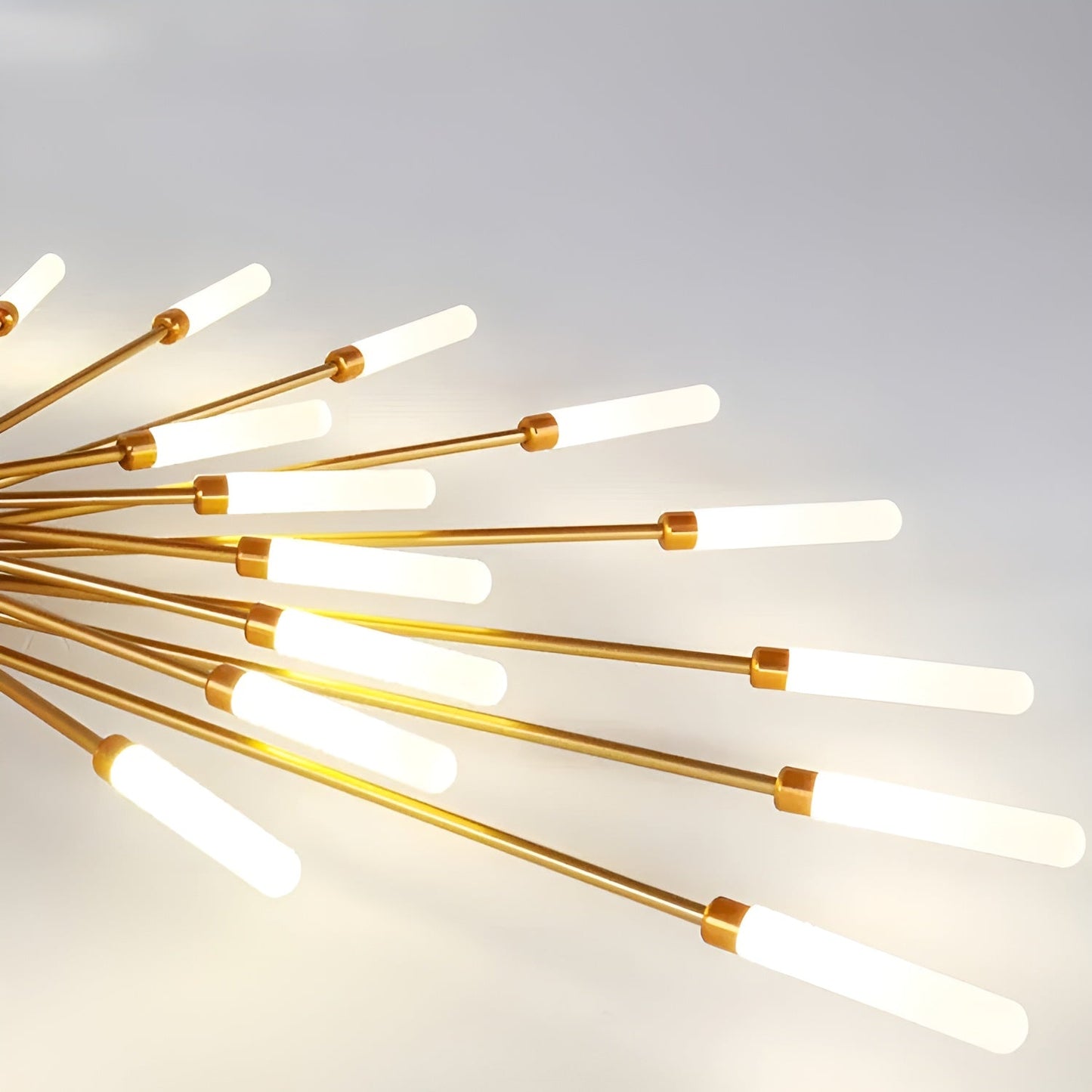 Contemporary LED Ceiling Lamp