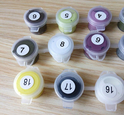 Colorful Garden Paint By Number Art Kit