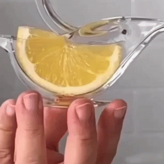 Easy Squeeze Citrus Juicer