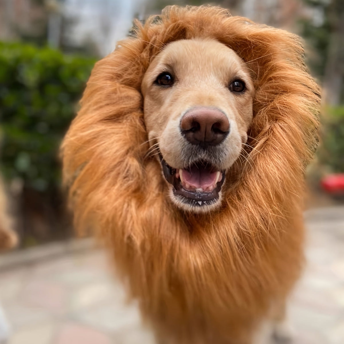 Fun Lion Mane Dog Costume Lightweight Pet Disguise