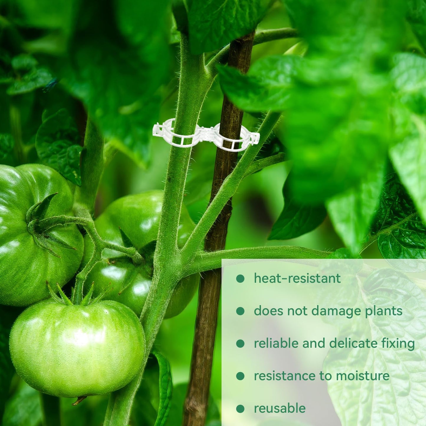 Easy Gardening Tomato Plant Clips