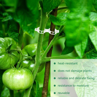 Easy Plant Tomato Holders, Garden Trellis Clips