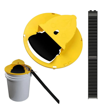 Humane Automatic Mouse Catcher Trap