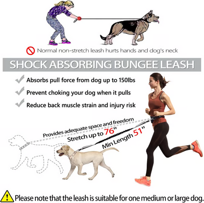Easy Walk Hands-Free Dog Leash