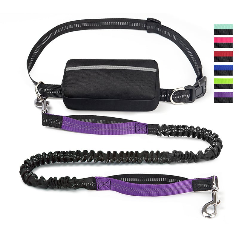 Easy Walk Hands-Free Dog Leash