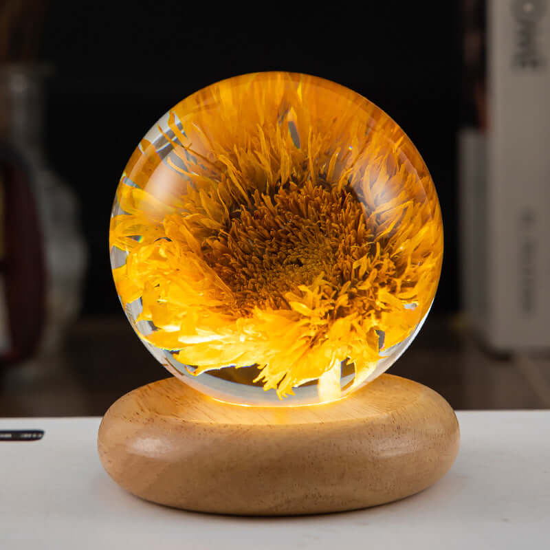 Colorful Kids Nightlight Soft Glow Lamp Wooden Base