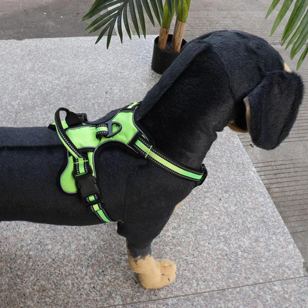 Comfortable No Pull Pet Harness