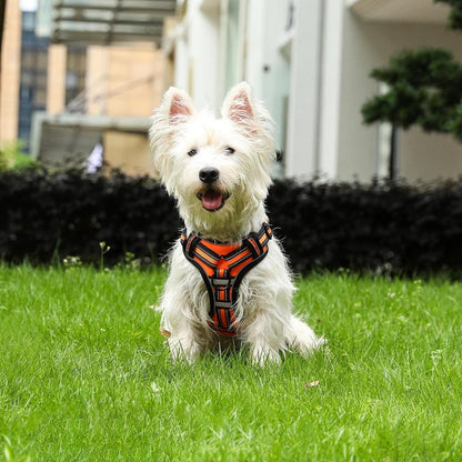 Comfortable No Pull Pet Harness