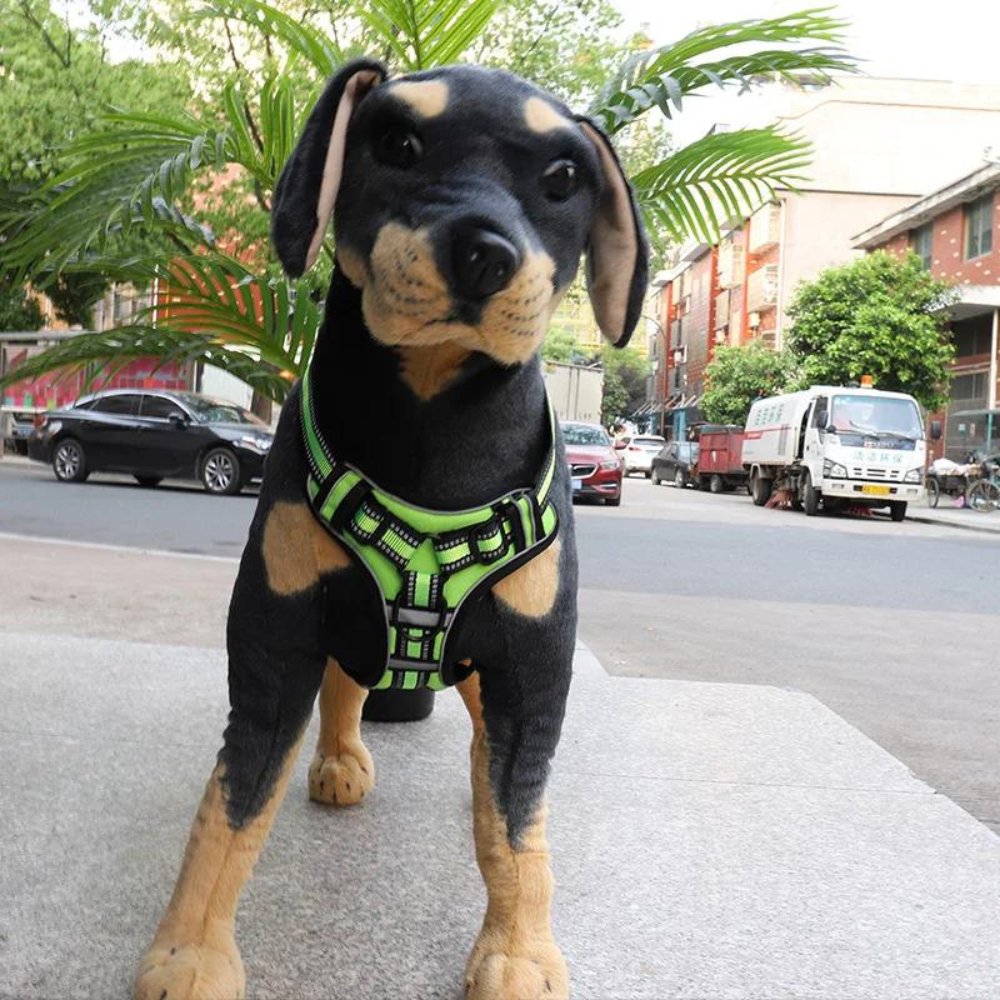 Comfortable No Pull Pet Harness