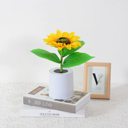 Bright USB Rechargeable Desk Lamp