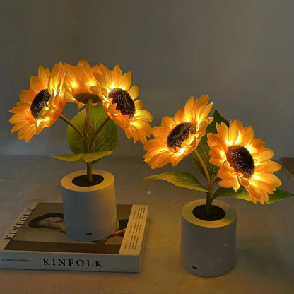 Bright USB Rechargeable Desk Lamp