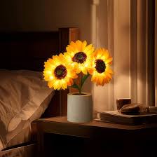 Bright USB Rechargeable Desk Lamp