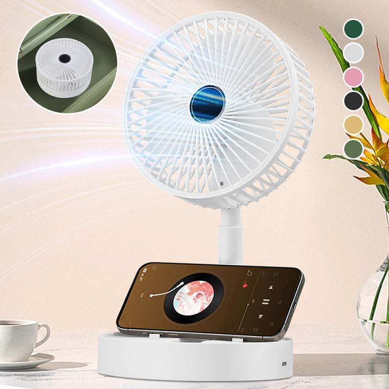 Portable Compact Folding Hand Fan