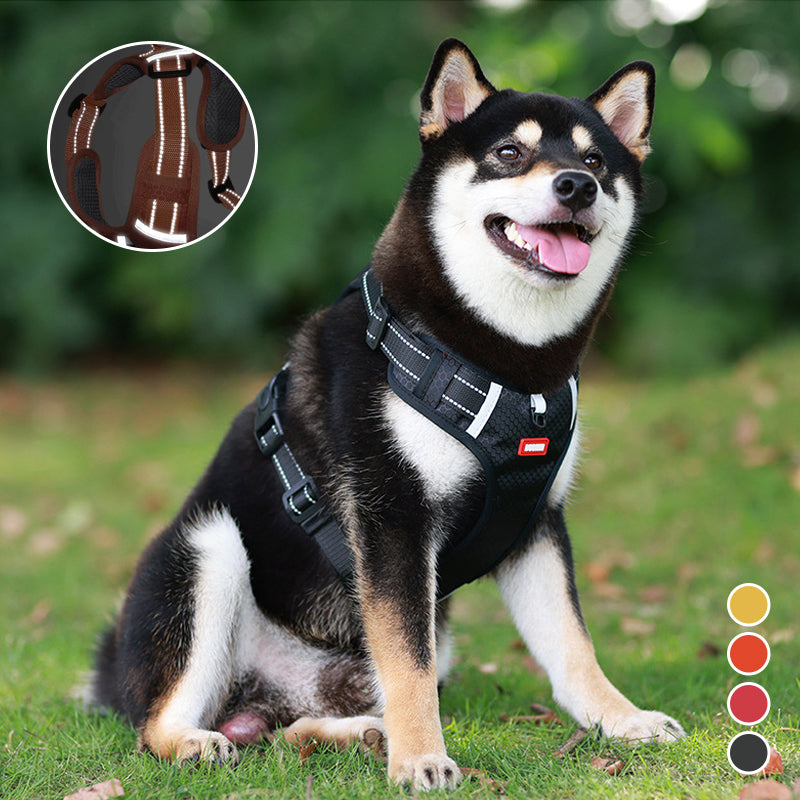 Safe Reflective Pet Harness